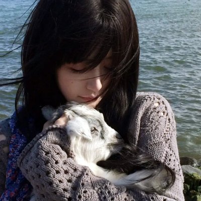 属鼠的夫人海报